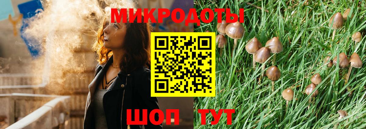 Псилоцибиновые грибы MAGIC MUSHROOMS  Вход с VPN  Шуя 