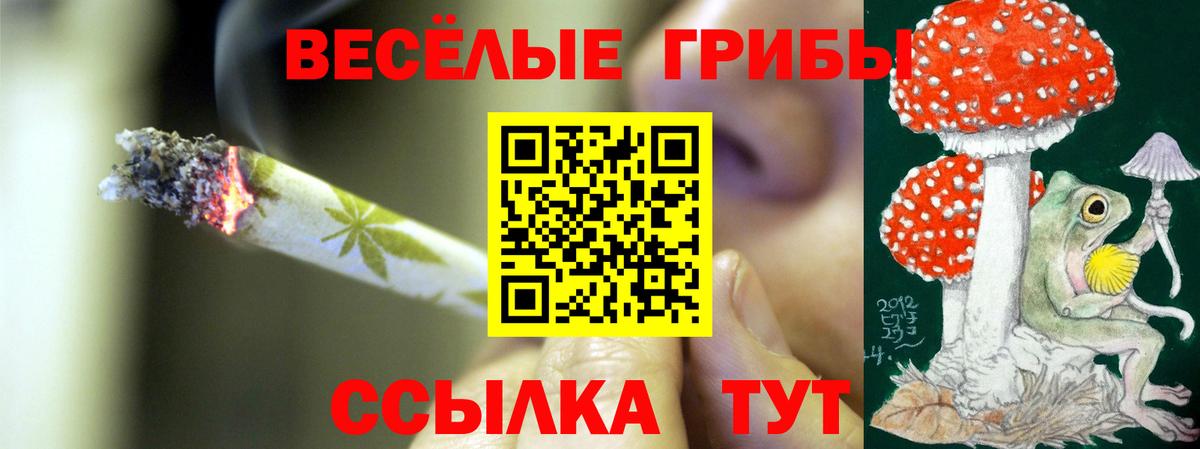 Псилоцибиновые грибы Magic Shrooms Шуя